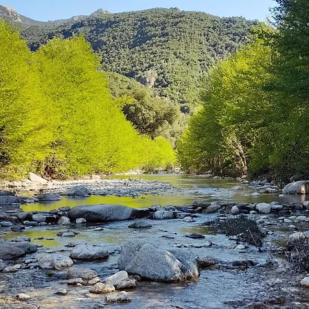 Casa Ortensia Διαμέρισμα